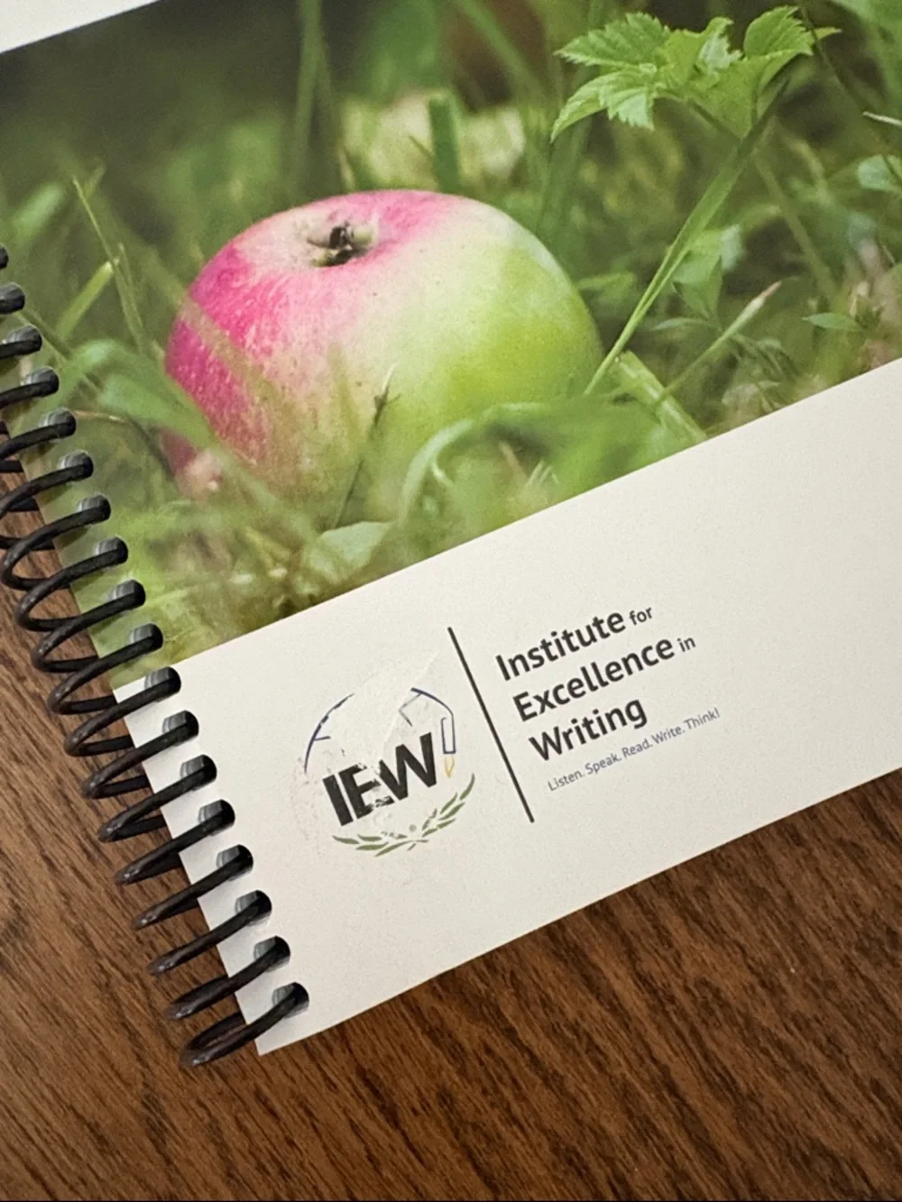 NEW IEW Fix It! Grammer Nose Tree (OLDER VERSION)  | homeschool curriculum